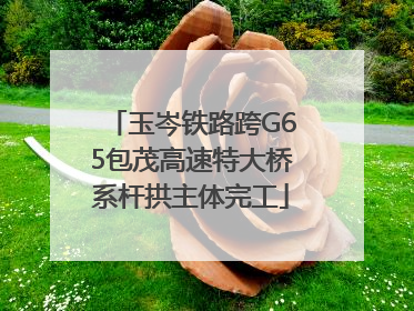 玉岑铁路跨G65包茂高速特大桥系杆拱主体完工