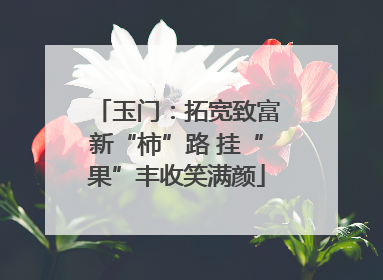 玉门：拓宽致富新“柿”路 挂“果”丰收笑满颜