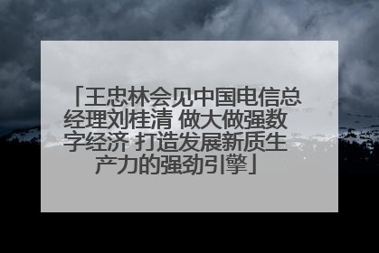 王忠林会见中国电信总经理刘桂清 做大做强数字经济 打造发展新质生产力的强劲引擎