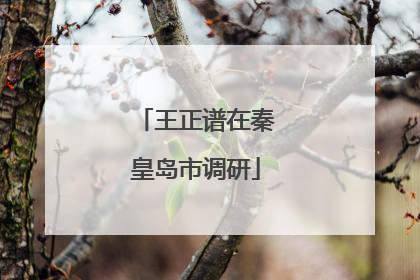 王正谱在秦皇岛市调研