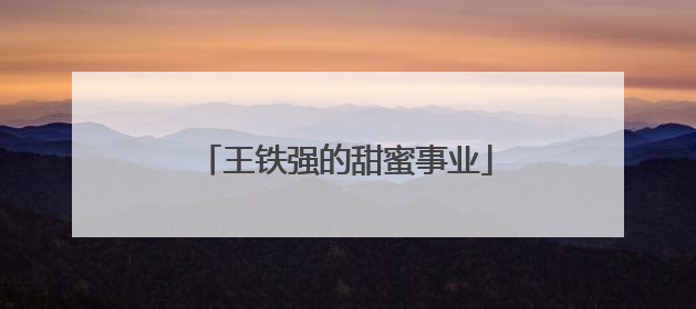 王铁强的甜蜜事业
