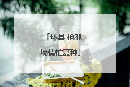 环县 抢抓墒情忙夏种