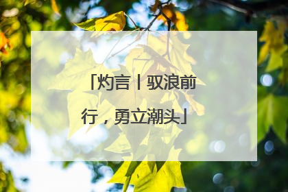 灼言丨驭浪前行，勇立潮头