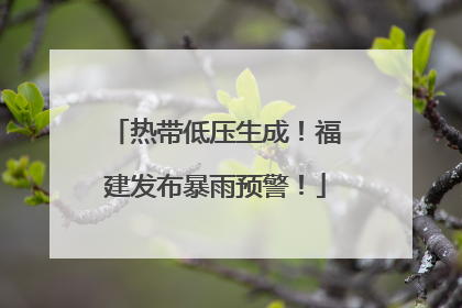 热带低压生成！福建发布暴雨预警！