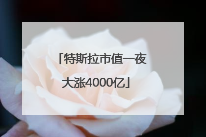 特斯拉市值一夜大涨4000亿