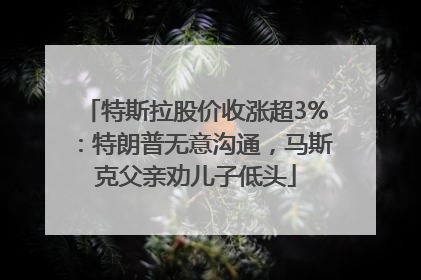 特斯拉股价收涨超3%：特朗普无意沟通，马斯克父亲劝儿子低头