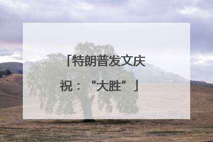 特朗普发文庆祝：“大胜”