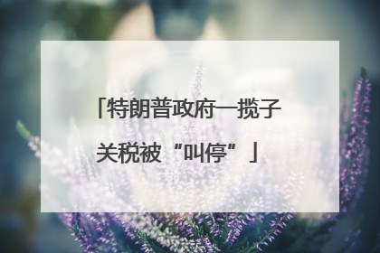 特朗普政府一揽子关税被“叫停”
