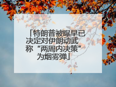特朗普被曝早已决定对伊朗动武 称“两周内决策”为烟雾弹