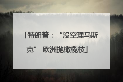 特朗普：“没空理马斯克” 欧洲抛橄榄枝