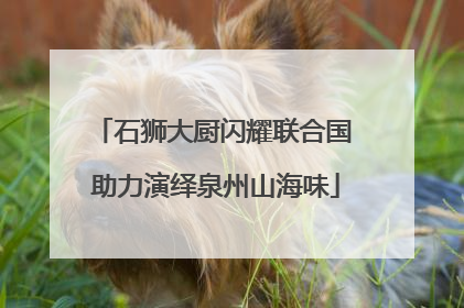 石狮大厨闪耀联合国 助力演绎泉州山海味