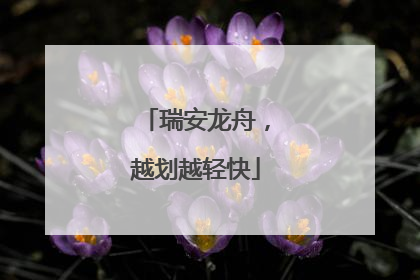 瑞安龙舟，越划越轻快