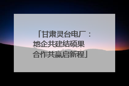 甘肃灵台电厂：地企共建结硕果 合作共赢启新程