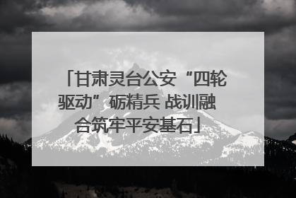 甘肃灵台公安“四轮驱动”砺精兵 战训融合筑牢平安基石