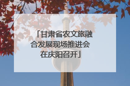 甘肃省农文旅融合发展现场推进会在庆阳召开