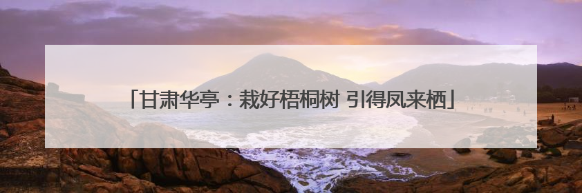 甘肃华亭：栽好梧桐树 引得凤来栖