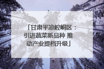 甘肃平凉崆峒区：引进蔬菜新品种 推动产业提档升级