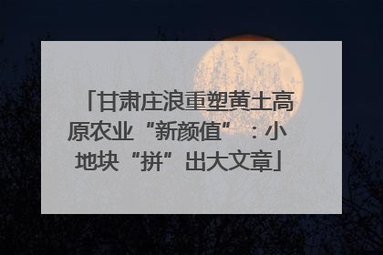 甘肃庄浪重塑黄土高原农业“新颜值”：小地块“拼”出大文章