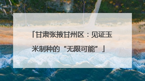 甘肃张掖甘州区：见证玉米制种的“无限可能”