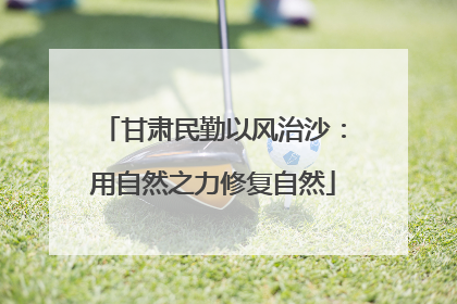 甘肃民勤以风治沙：用自然之力修复自然