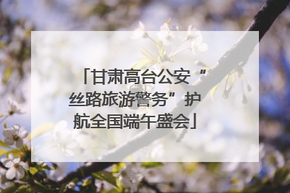 甘肃高台公安“丝路旅游警务”护航全国端午盛会
