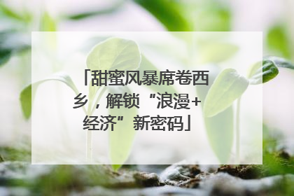 甜蜜风暴席卷西乡，解锁“浪漫+经济”新密码