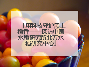 用科技守护黑土稻香——探访中国水稻研究所北方水稻研究中心