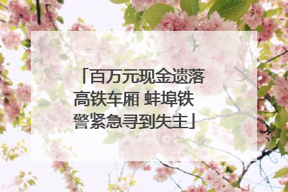 百万元现金遗落高铁车厢 蚌埠铁警紧急寻到失主