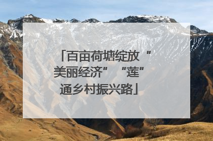 百亩荷塘绽放“美丽经济”“莲”通乡村振兴路