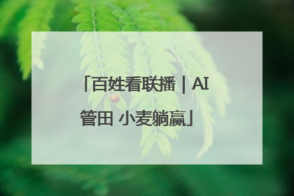 百姓看联播｜AI管田 小麦躺赢