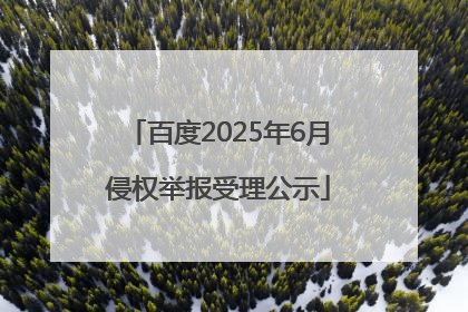 百度2025年6月侵权举报受理公示