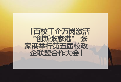 百校千企万岗激活“创新张家港” 张家港举行第五届校政企联盟合作大会