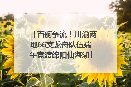 百舸争流！川渝两地66支龙舟队伍端午竞渡绵阳仙海湖