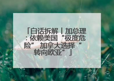 白话拆解丨加总理：依赖美国“极度危险” 加拿大选择“转向欧亚”
