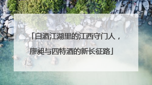 白酒江湖里的江西守门人，廖昶与四特酒的新长征路