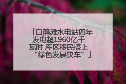 白鹤滩水电站四年发电超1960亿千瓦时 库区移民搭上“绿色发展快车”