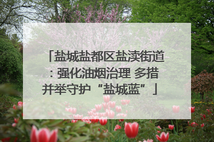 盐城盐都区盐渎街道：强化油烟治理 多措并举守护“盐城蓝”