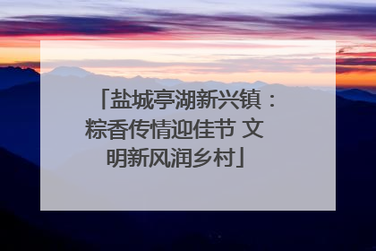 盐城亭湖新兴镇：粽香传情迎佳节 文明新风润乡村