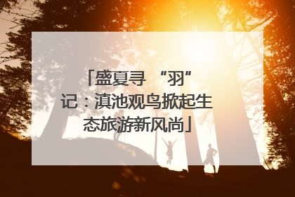 盛夏寻 “羽” 记：滇池观鸟掀起生态旅游新风尚