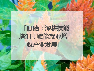 盱眙：深耕技能培训，赋能就业增收产业发展