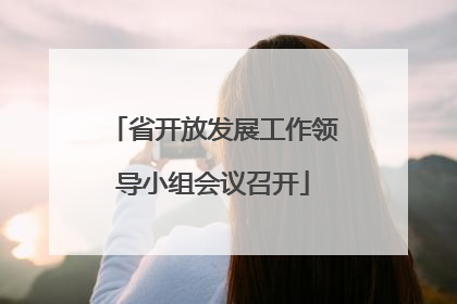 省开放发展工作领导小组会议召开
