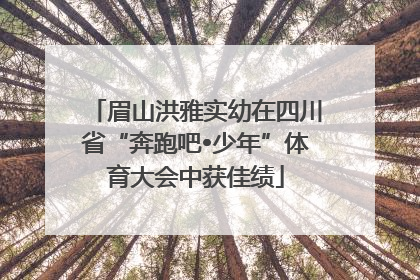 眉山洪雅实幼在四川省“奔跑吧•少年”体育大会中获佳绩
