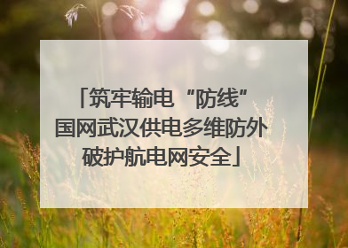 筑牢输电“防线” 国网武汉供电多维防外破护航电网安全