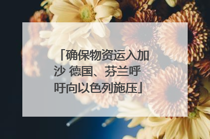 确保物资运入加沙 德国、芬兰呼吁向以色列施压