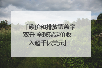 碳价和排放覆盖率双升 全球碳定价收入超千亿美元