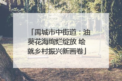 禹城市中街道：油葵花海绚烂绽放 绘就乡村振兴新画卷