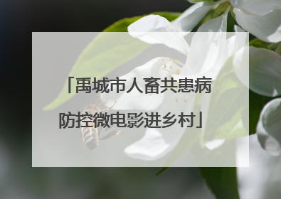 禹城市人畜共患病防控微电影进乡村