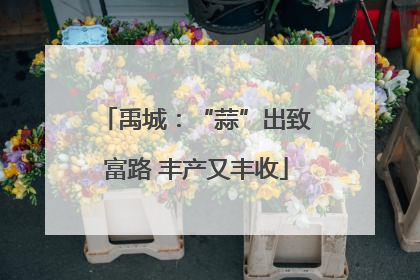 禹城：“蒜”出致富路 丰产又丰收