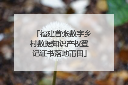 福建首张数字乡村数据知识产权登记证书落地莆田