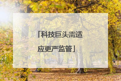 科技巨头需适应更严监管